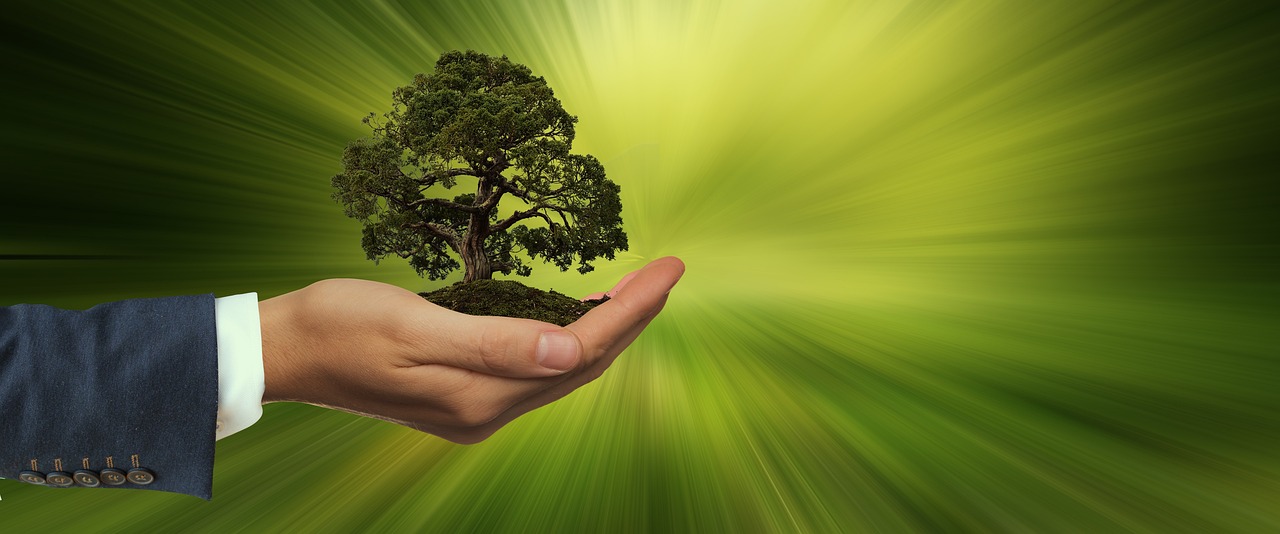 The Science Behind Renewable Energy Innovations